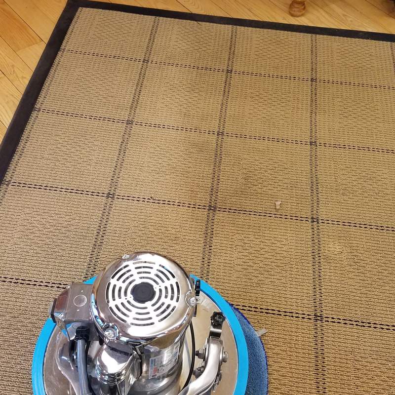 Low moisture carpet cleaning